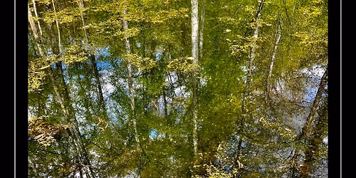 Another Punk Show with FLIRT \/\/ ARGON