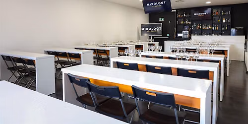 Gin Tasting Experience by MIXOLOGY Academy