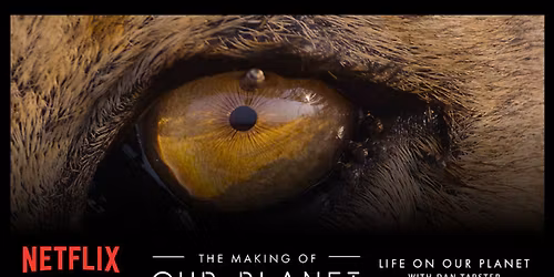 The Making of Life on Our Planet