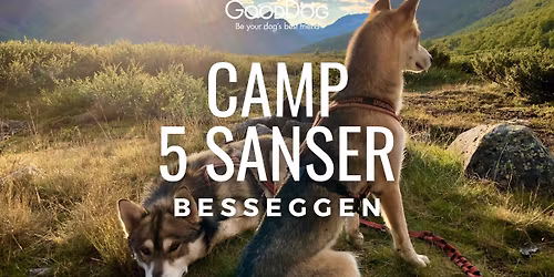 Camp 5 Sanser