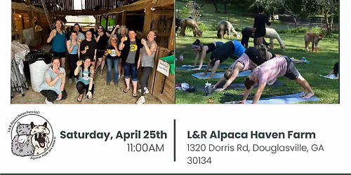 Alpaca Yoga & Mimosas with Audrey 4\/25\/26