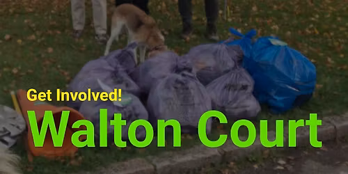 Community Litter Pick - Walton Court 