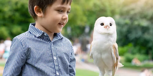 Home Educated Bird of Prey & Animal Workshops