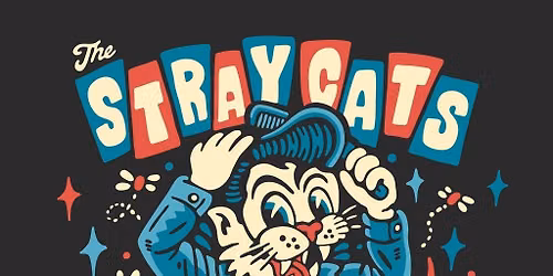 THE STRAY CATS