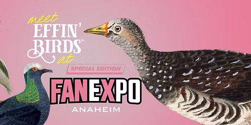 Effin\u2019 Birds at FAN EXPO Anaheim