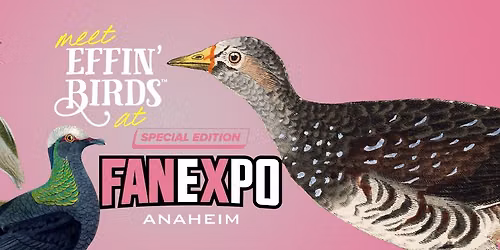 Effin\u2019 Birds at FAN EXPO Anaheim
