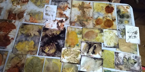 Flora-Dye Workshop