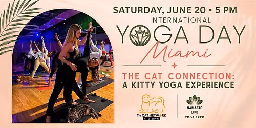 The Cat Connection: Kitty Yoga