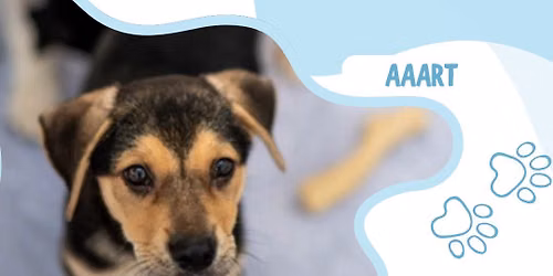 GSB Fundraiser and Adoption Event