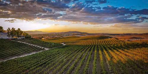 Temecula Overnight Fun Run