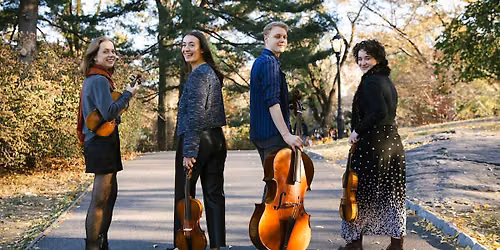 Pegasus Rising at Payton Violins: Quartet Novalis
