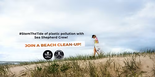 South Sydney, NSW: North Wollongong Beach clean-up: Marine Debris Campaign 