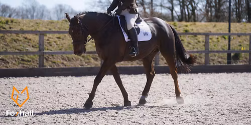 Unaffiliated Dressage