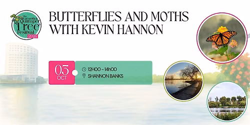 Butterflies and Moths With Kevin Hannon - Limerick Quimper Tree Festival