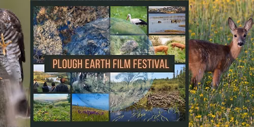 Plough Earth Film Festival