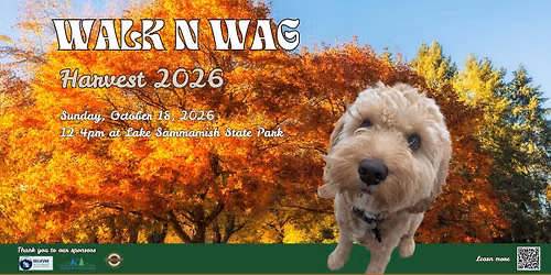Walk n' Wag 