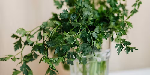 Culinary Containers: Good Things Come in Small Packages