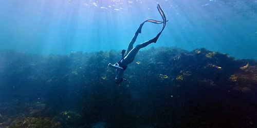 Blueback Freediving & Yoga Community Day SUN 18 OCT 2026