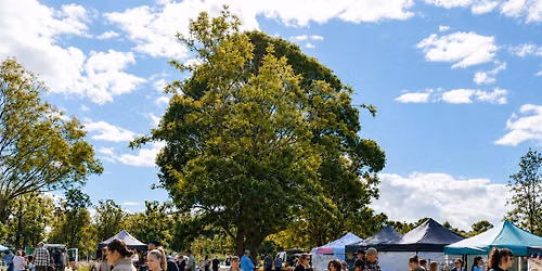 Cawdor Markets | August Market 