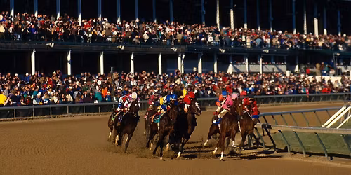 Mint Julep Jamboree ft The Lauren Lee Band