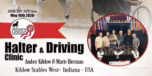 OSESA Halter and Driving clinic 
