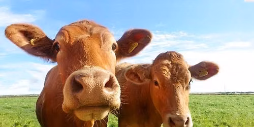 \ud83c\udf33\ud83d\udc04 FREE FAMILY FARM DAY \ud83e\udebf\ud83c\udf33 \ud83d\udca5RE-SCHEDULED TO SEPT. 19\ud83d\udca5