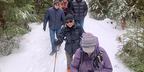 Group Hike at the Rockland Bog