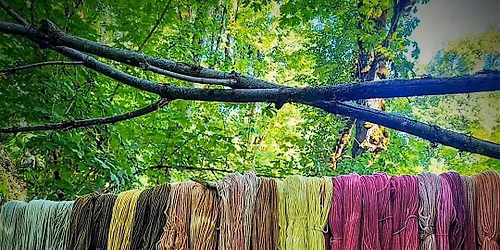 Natural Dyeing with Invasive Plants