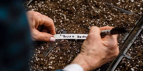 Seedling Transplant & Edible Sprouts Event