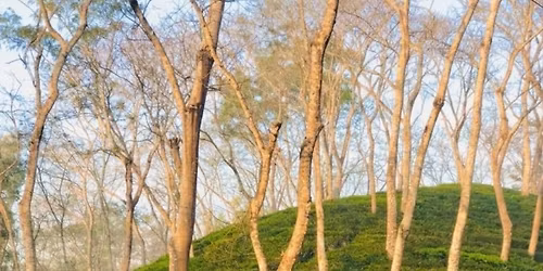 \u09e7\u09ec \u098f\u09aa\u09cd\u09b0\u09bf\u09b2 \u09b8\u09be\u09aa\u09cd\u09a4\u09be\u09b9\u09bf\u0995 \u099b\u09c1\u099f\u09bf\u09a4\u09c7 \u099f\u09cd\u09b0\u09c7\u09a8\u09c7 \u0998\u09c1\u09b0\u09c7 \u0986\u09b8\u09c1\u09a8 \u09b8\u09c1\u09a8\u09cd\u09a6\u09b0 \u09b6\u09cd\u09b0\u09c0\u09ae\u0999\u09cd\u0997\u09b2 \u09ae\u09be\u09a4\u09cd\u09b0 \u09e8,\u09e6\u09e6\u09e6 \u099f\u09be\u0995\u09be\u09af\u09bc