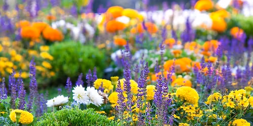 Garden Program hosted by the Ladies Guild