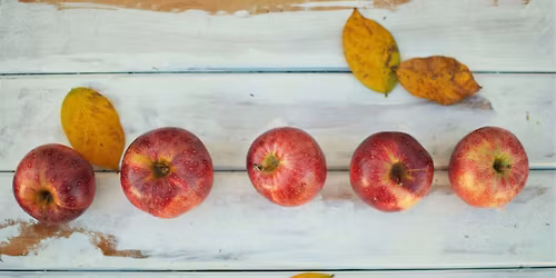 3rd Annual Faith-Family Thanksgiving