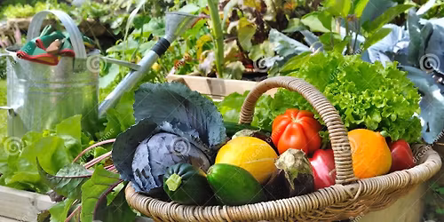 \ud83c\udf3f Freo Permies November Gathering \ud83c\udf3f