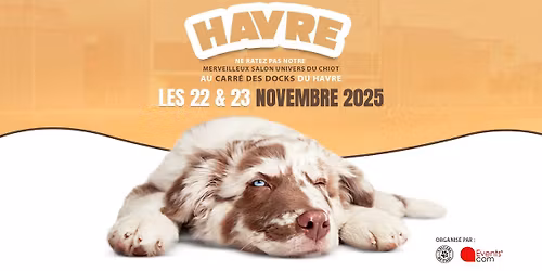 Salon "Univers du chiot" Carr\u00e9 des Docks du Havre (76)