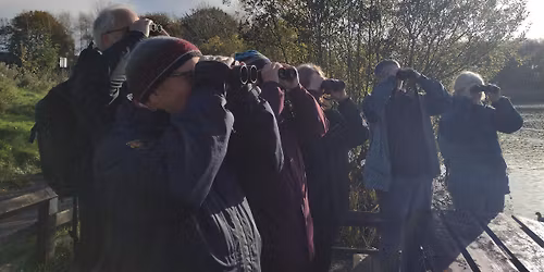 Birdwatching \u2013 Understanding More About Autumn Birds  (Wednesdays)