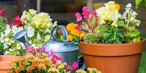 Wine & Design Planter Party - May 21