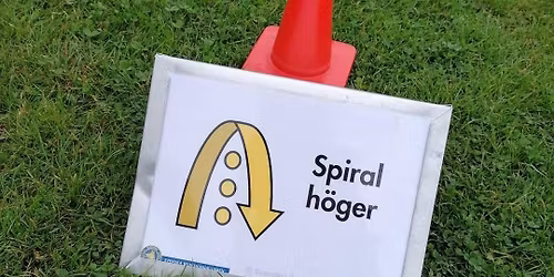 Rallylydnad forts+avancerad x 2 - Lidk\u00f6pings Brukshundklubb