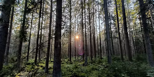 Lehto ry kev\u00e4tkokous ja kev\u00e4inen p\u00e4iv\u00e4tapahtuma