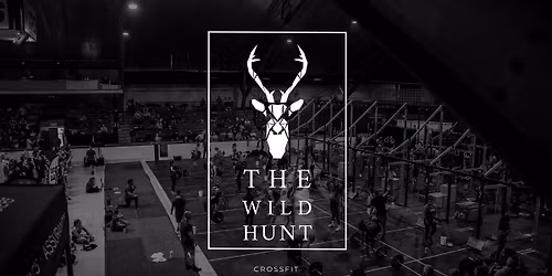 The Wild Hunt VII