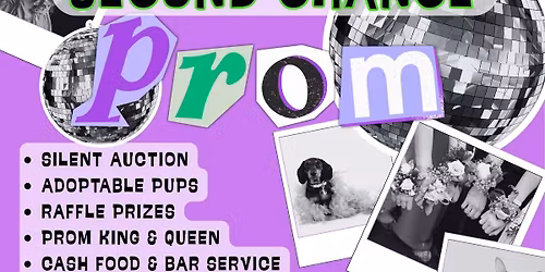 Mutt Misfits' Second Chance Prom