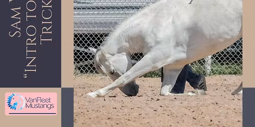 Intro to Liberty Clinic - AZ