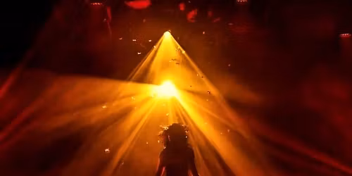 Late Night Vice - Sydney