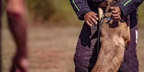 STAGE MORDANT K9MIKE 