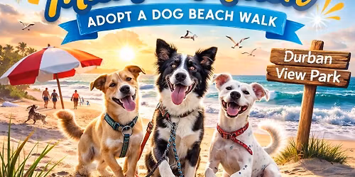 Meet Your Match Dog Walk