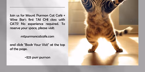 Tai Chi with Cats