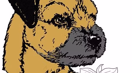 Breed booth Pet Expo in Mississauga 