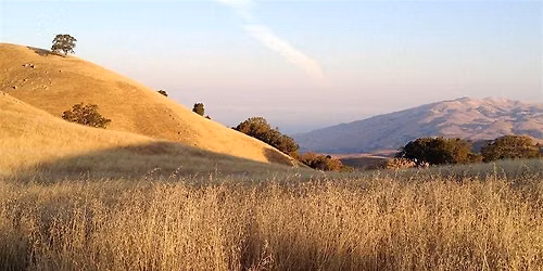 Nature Walk at Sierra Vista