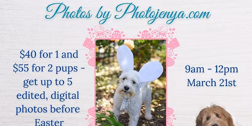 Spring Time Pup Photos