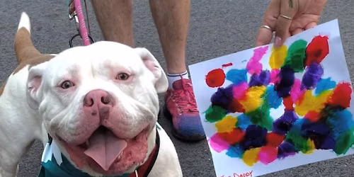 Pop PUPmuseum