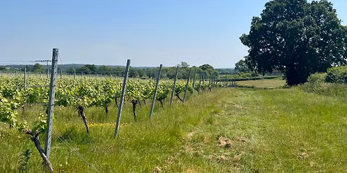 TRADITIONAL METHOD SPARKLING WINE TASTING